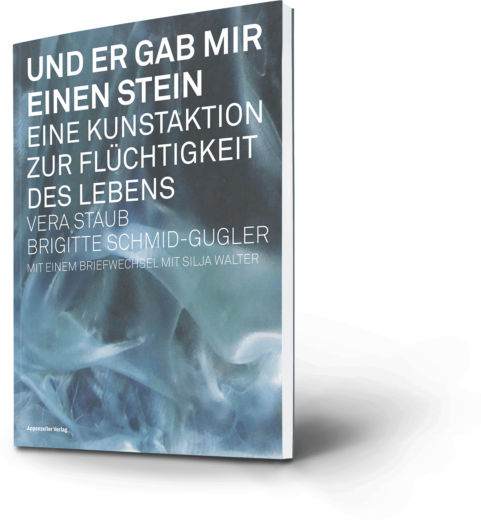 Vera Staub, Brigitte Schmid-Gugler: Und er gab mir einen Stein. Eine Kunstaktion zur Flüchtigkeit des Lebens. Mit einem Briefwechsel mit Silja Walter