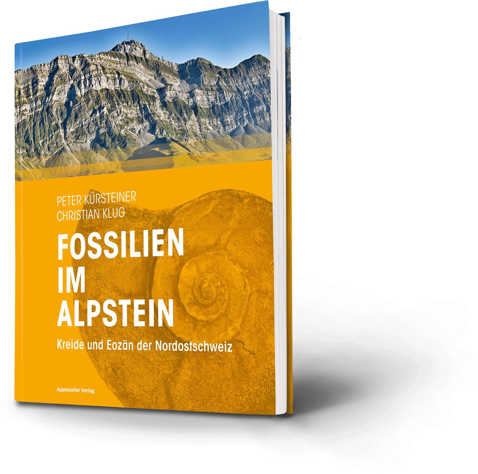 Fossilien im Alpstein