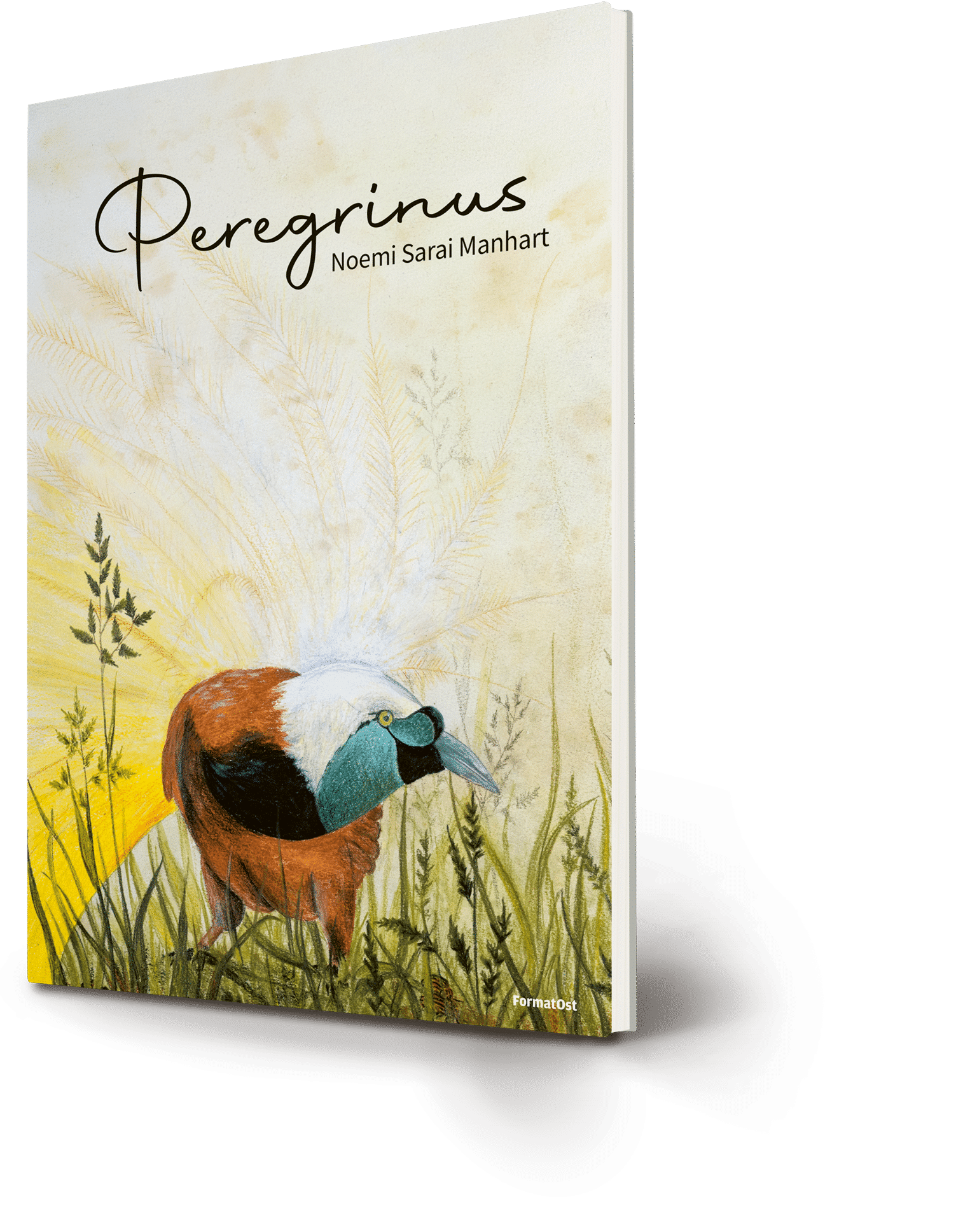 Peregrinus