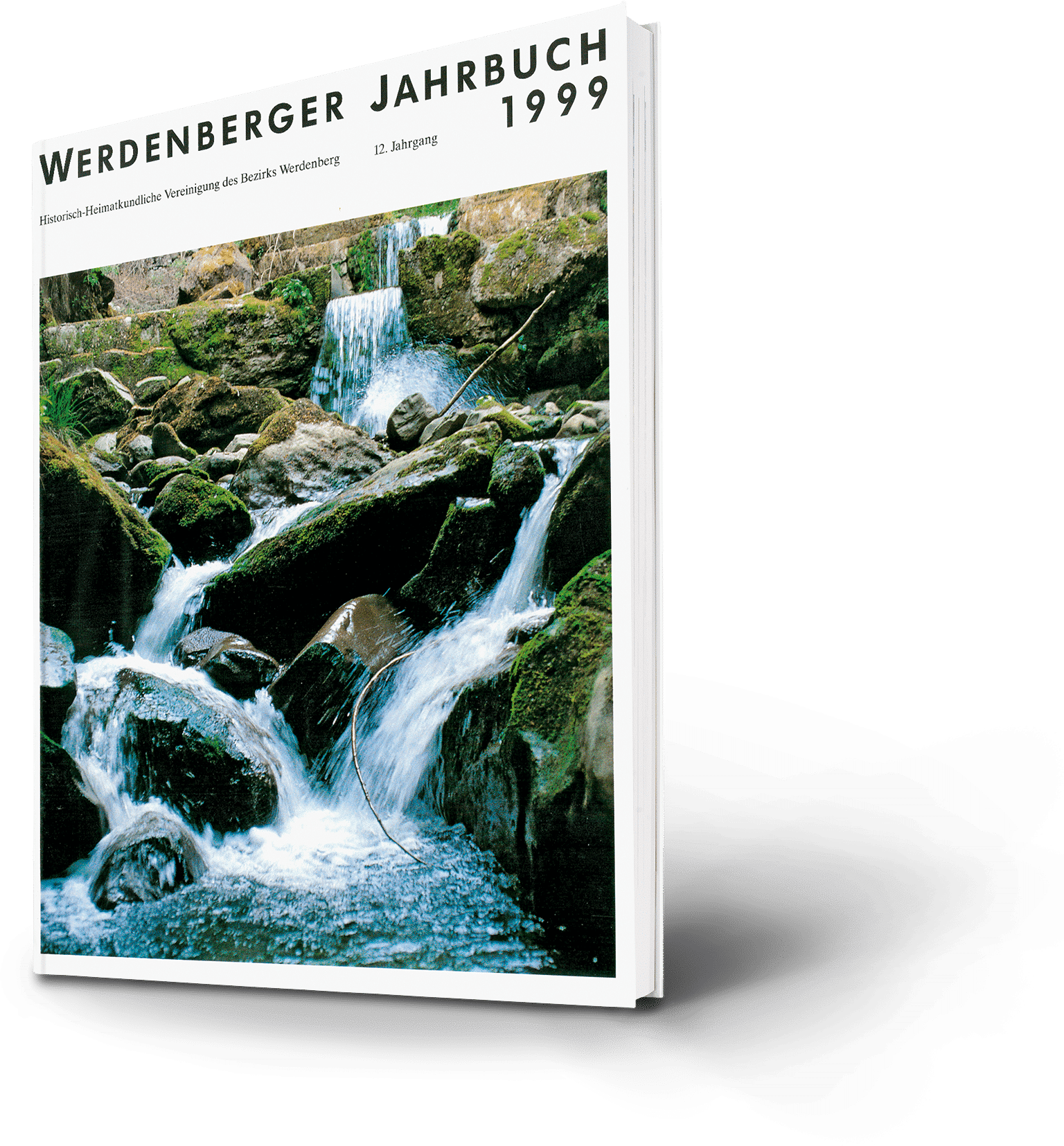 Werdenberger Jahrbuch 1999