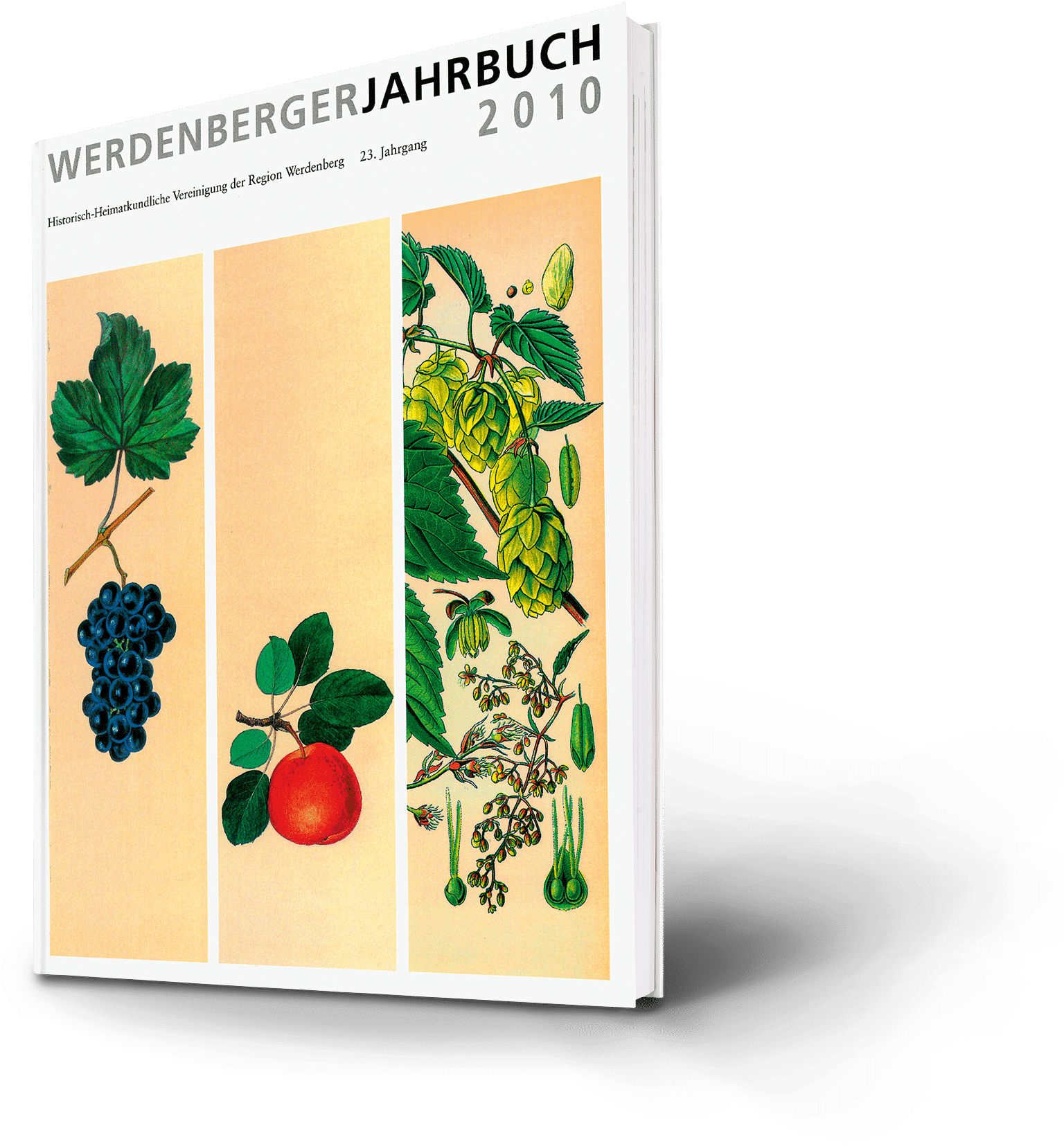 Werdenberger Jahrbuch 2010