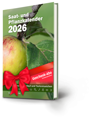 SPK2026-Geschenkabo-Produkt-01