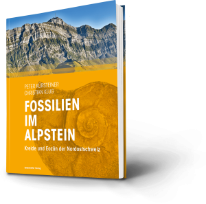 Fossilien im Alpstein