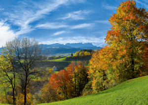 Lank, Appenzell