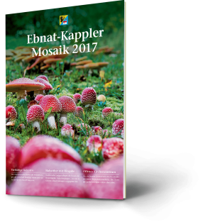 Ebnat-Kappler Mosaik 2017